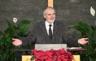 2.23.Die Einladung und der Sturm – „JESU WIRKEN ALS MESSIAS“ von DAS LEBEN JESU | Pastor Mag. Kurt Piesslinger