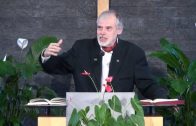 3.10.Auf dem Laubhüttenfest – „LICHT UND SCHATTEN“ von DAS LEBEN JESU | Pastor Mag. Kurt Piesslinger