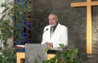 3.30.Moses Tod – „MOSE“ von PATRIARCHEN UND PROPHETEN | Pastor Mag. Kurt Piesslinger